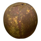 Antique Redware Pottery Yellow Apple Still Bank