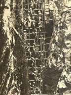 Antique Large Cabinet Card Early Photograph Graphite Mine Owned Mike Wolfe