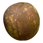Antique Redware Pottery Yellow Apple Still Bank