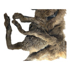 Vintage 1930's Full Mink Fur 2 Pelt Stole Scarf with Heads, Tails & Feet