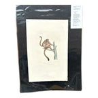 Antique Etienne Geoffroy Saint-Hilaire Hand Colored Monkey Print