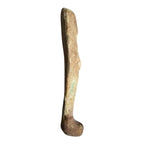 Ancient Egyptian Faience Ushabti Shabti Figure – Glazed Burial Artifact