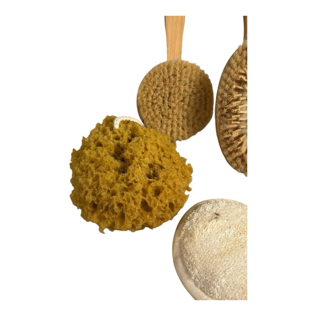 Vintage Bath Brushes Owned by Martha Stewart at Turkey Hill Kitchen