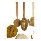 Vintage Bath Brushes Owned by Martha Stewart at Turkey Hill Kitchen