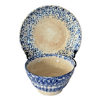 Antique Staffordshire Blue Spatterware Spongeware Teacup & Saucer