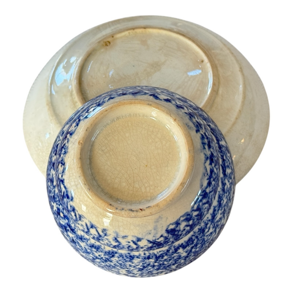 Antique Staffordshire Blue Spatterware Spongeware Teacup & Saucer