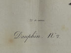 Antique Etienne Geoffroy Saint Hilaire French Naturalist Print of Dolphin