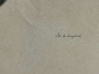 Antique Etienne Geoffroy Saint Hilaire French Naturalist Print of Dolphin