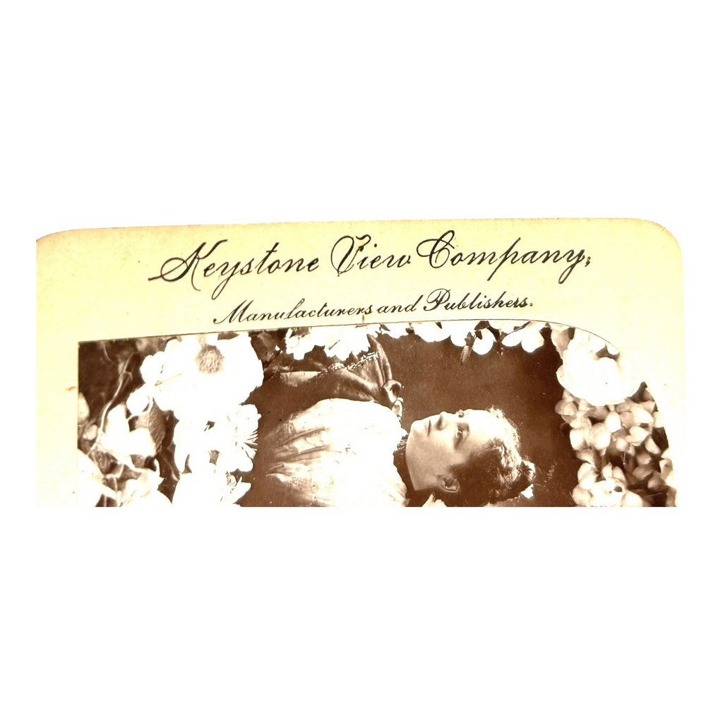 Antique Stereoview Card of William Jennings Bryan Presidential Candidate Wedding