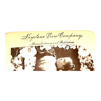 Antique Stereoview Card of William Jennings Bryan Presidential Candidate Wedding