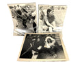 Vintage Lot of 3 Hippie Music Festival Photgraphs Owned by Mike Wolfe American