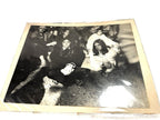 Vintage Lot of 3 Hippie Music Festival Photgraphs Owned by Mike Wolfe American