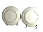 Antique Set of Two Chinese Export Famille Rose Peony Plates