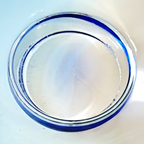 Vintage Orrefors Sweden Blue Footed Art Glass Centerpiece Dish