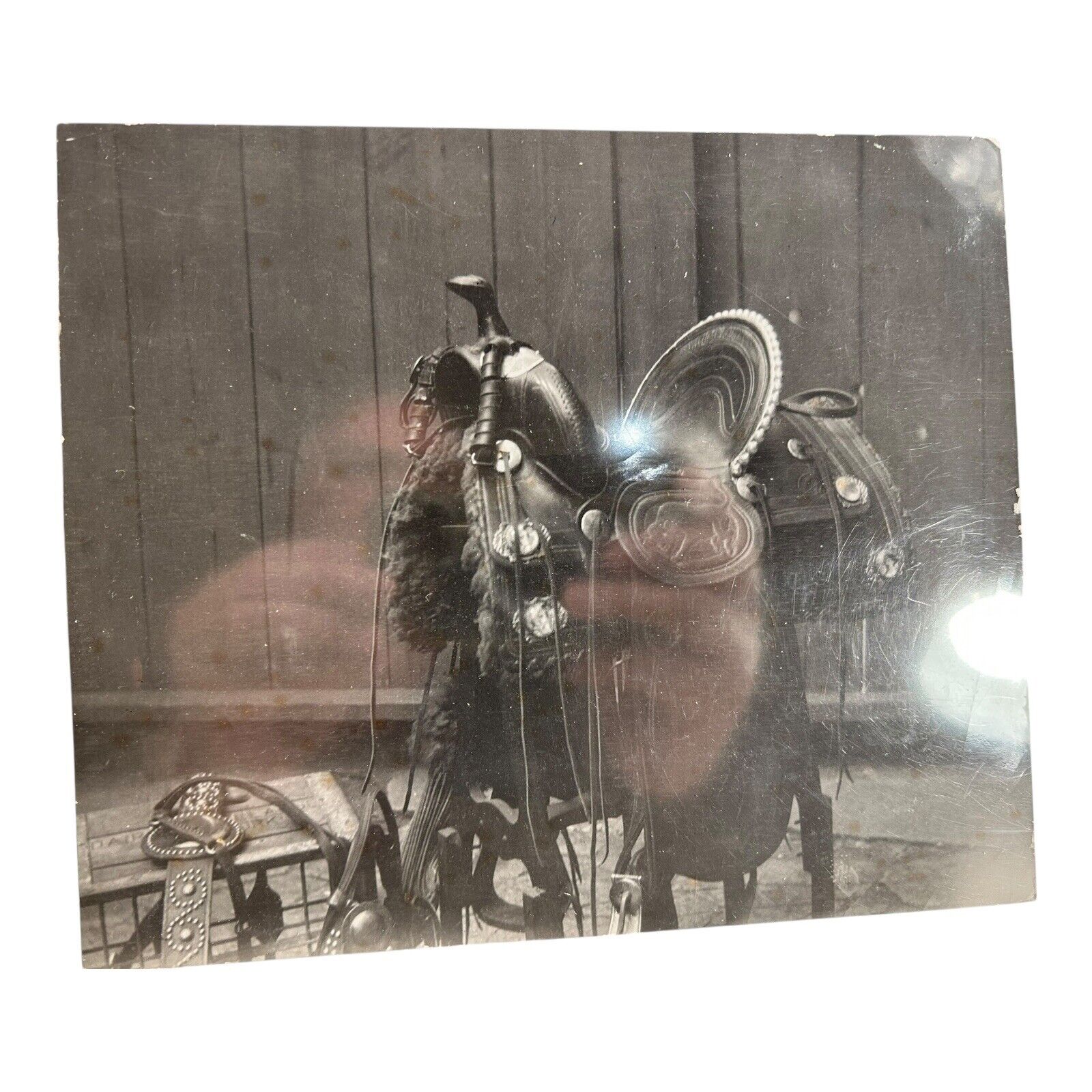 Antique Photograph of Buffalo Bill's Saddle