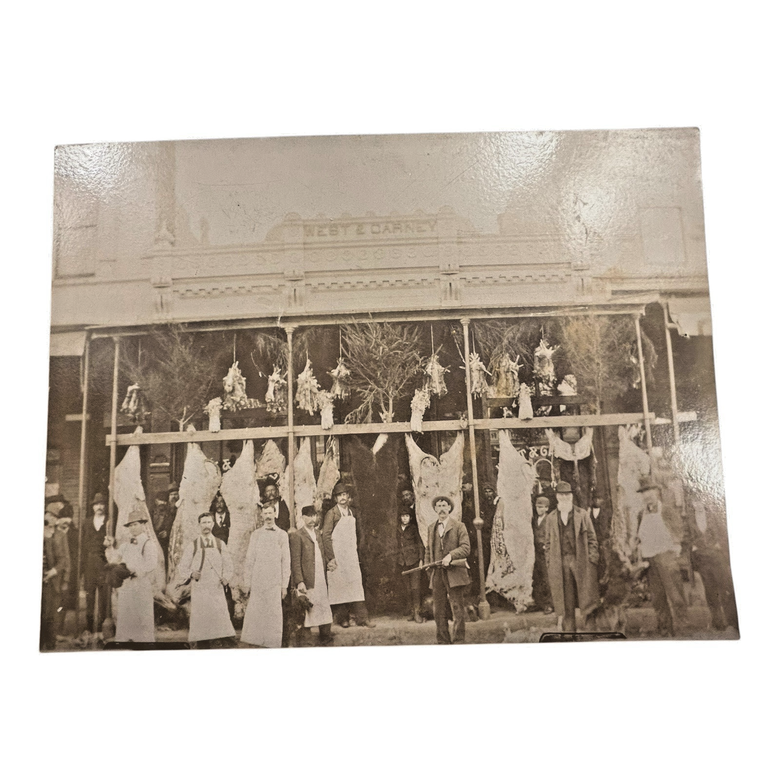 Antique Collectible Western Bear & Buffalo Butcher Shop Photograph