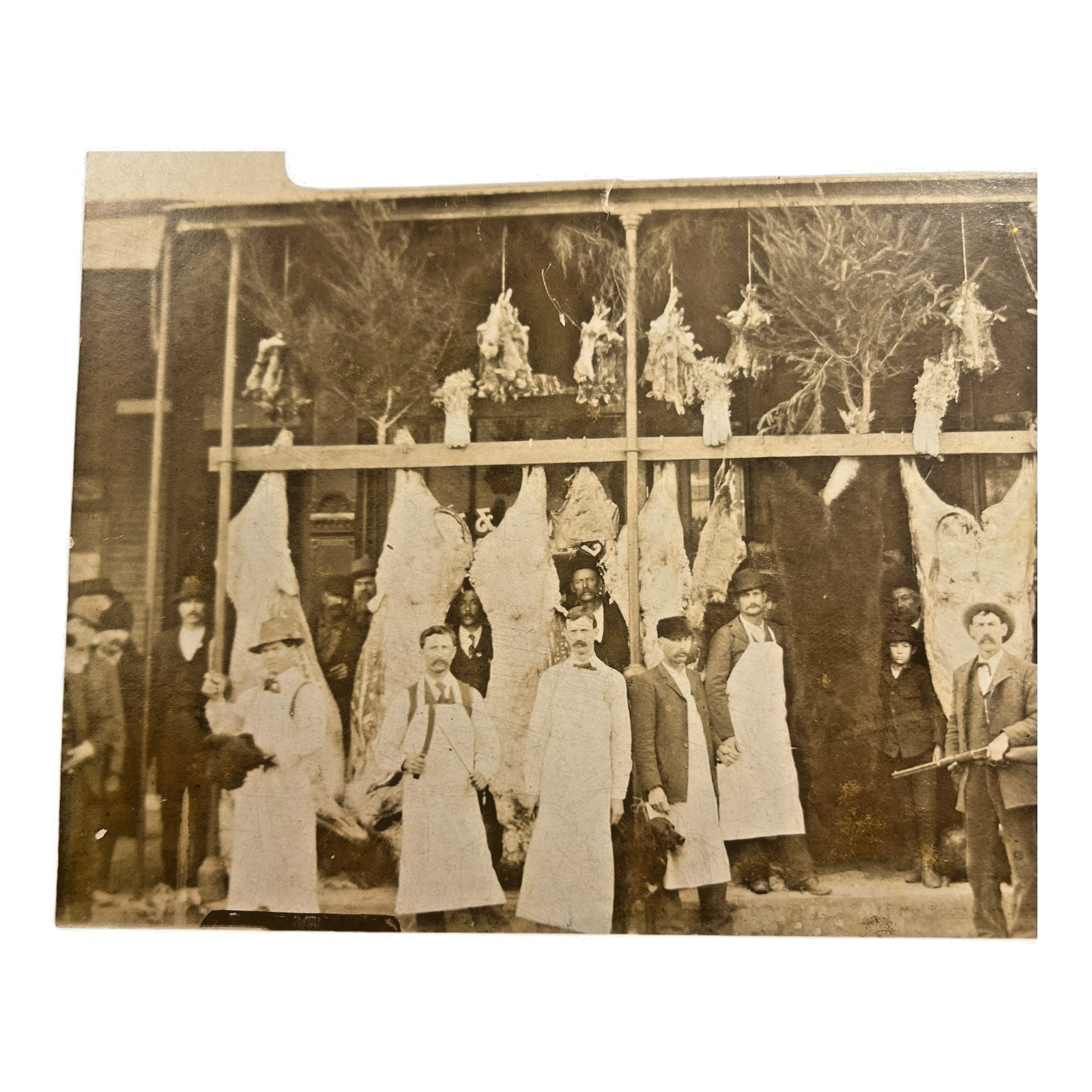 Antique Collectible Western Bear & Buffalo Butcher Shop Photograph
