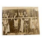 Antique Collectible Western Bear & Buffalo Butcher Shop Photograph