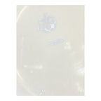 Antique Wedgwood Etruria Vine Pattern Plate