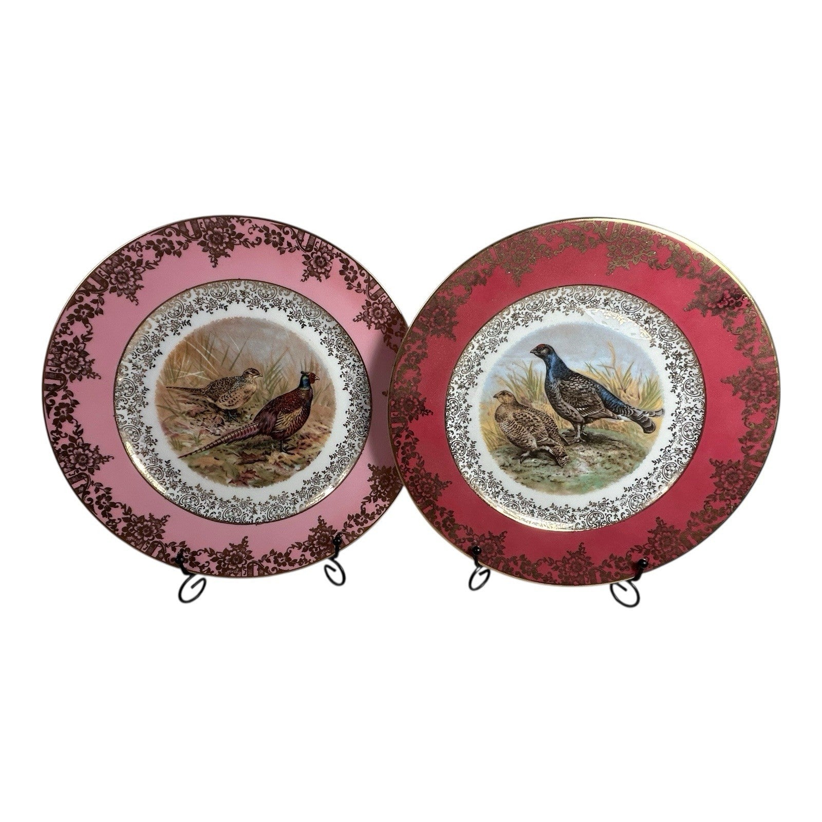 Antique Set of Two German Bavaria Pheasant Plates