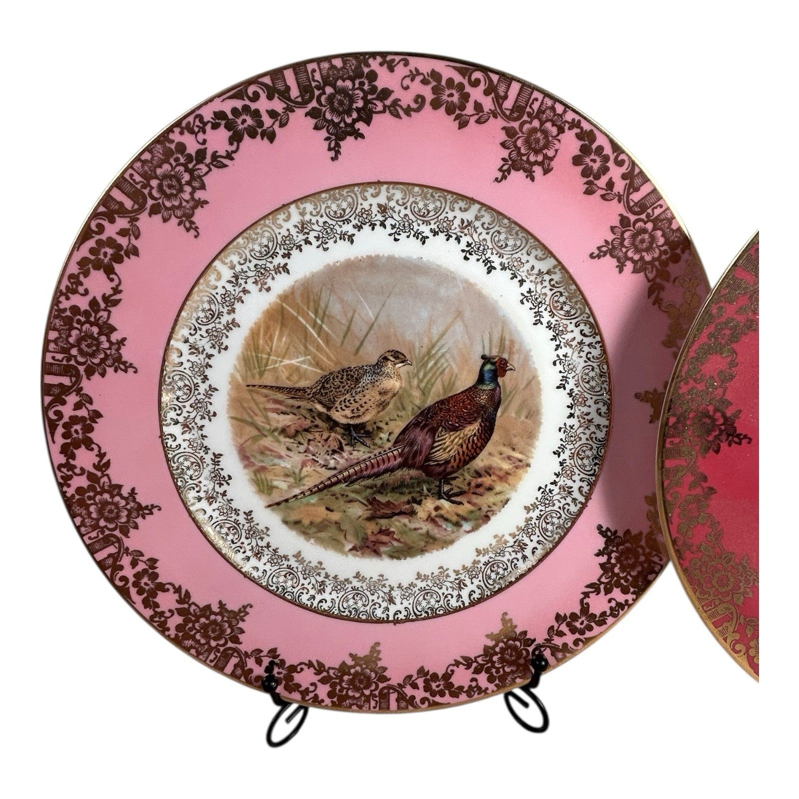 Antique Set of Two German Bavaria Pheasant Plates
