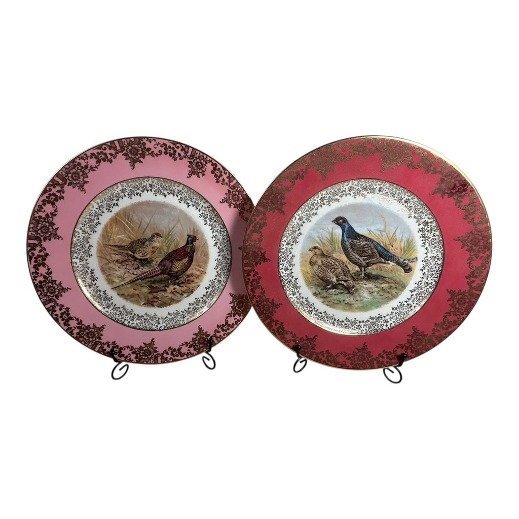 Antique Set of Two German Bavaria Pheasant Plates