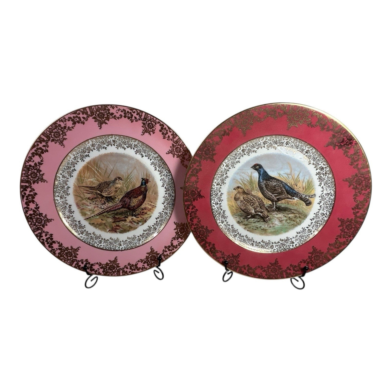 Antique Set of Two German Bavaria Pheasant Plates
