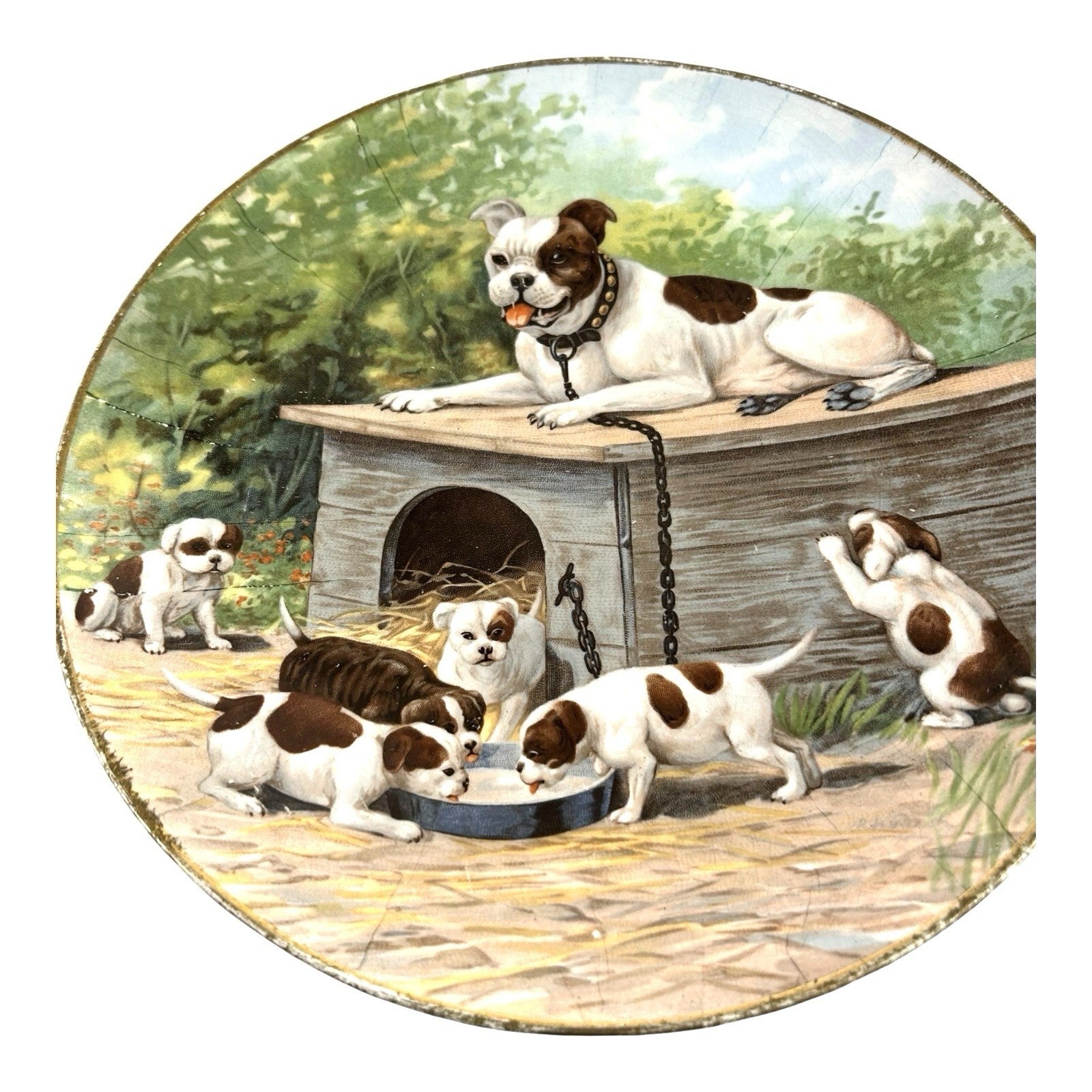 Antique TST Taylor Smith Taylor Bulldog & Puppies Portrait Plate 1929
