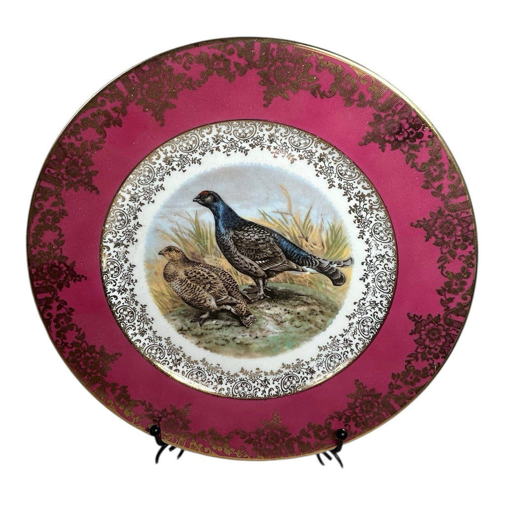 Antique Set of Two German Bavaria Pheasant Plates