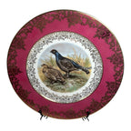 Antique Set of Two German Bavaria Pheasant Plates