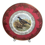 Antique Set of Two German Bavaria Pheasant Plates
