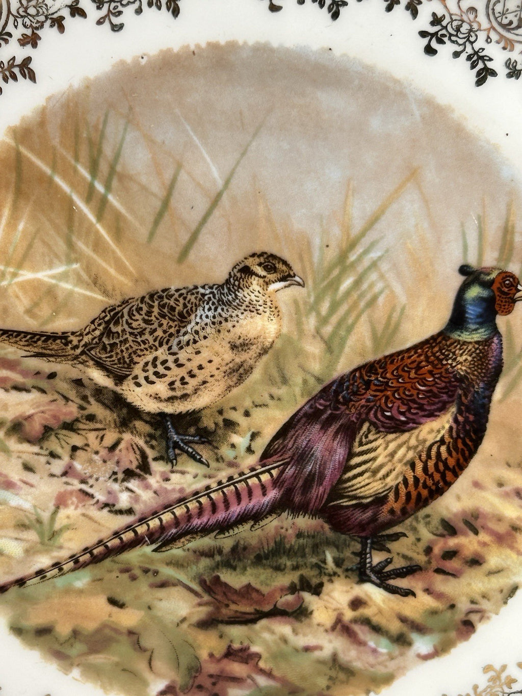 Antique Set of Two German Bavaria Pheasant Plates