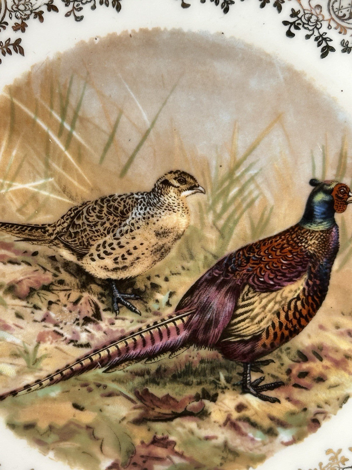 Antique Set of Two German Bavaria Pheasant Plates