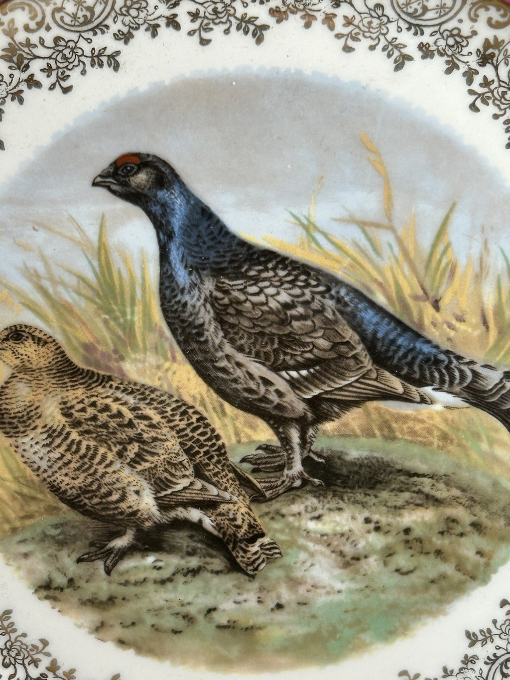 Antique Set of Two German Bavaria Pheasant Plates