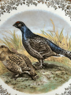 Antique Set of Two German Bavaria Pheasant Plates