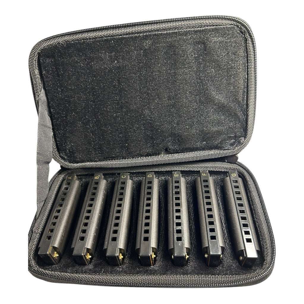 Hohner Piedmont Blues 7-Harmonica Set with Case
