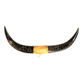 Vintage Carved Buffalo Horns by Soldier in Phillipines after WWII WW2