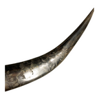 Vintage Carved Buffalo Horns by Soldier in Phillipines after WWII WW2