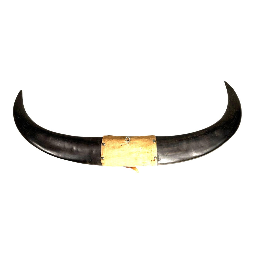 Vintage Carved Buffalo Horns by Soldier in Phillipines after WWII WW2