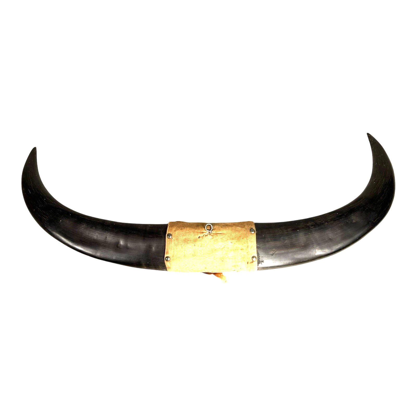 Vintage Carved Buffalo Horns by Soldier in Phillipines after WWII WW2