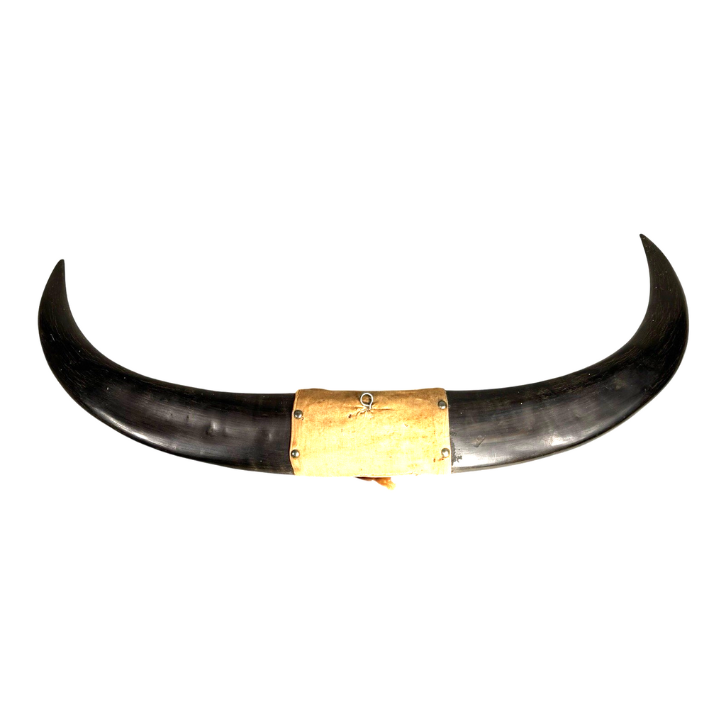 Vintage Carved Buffalo Horns by Soldier in Phillipines after WWII WW2
