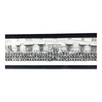 Antique WWI Panoramic Soldiers Photo Camp Jackson SC - Framed Yard-Long