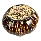 Antique Rockingham Bennington Clam Shell Spittoon Owned by Martha Stewart