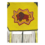 Vintage Native American Beaded Powwow Vest Regalia Buffalo Fringe, US / Canada