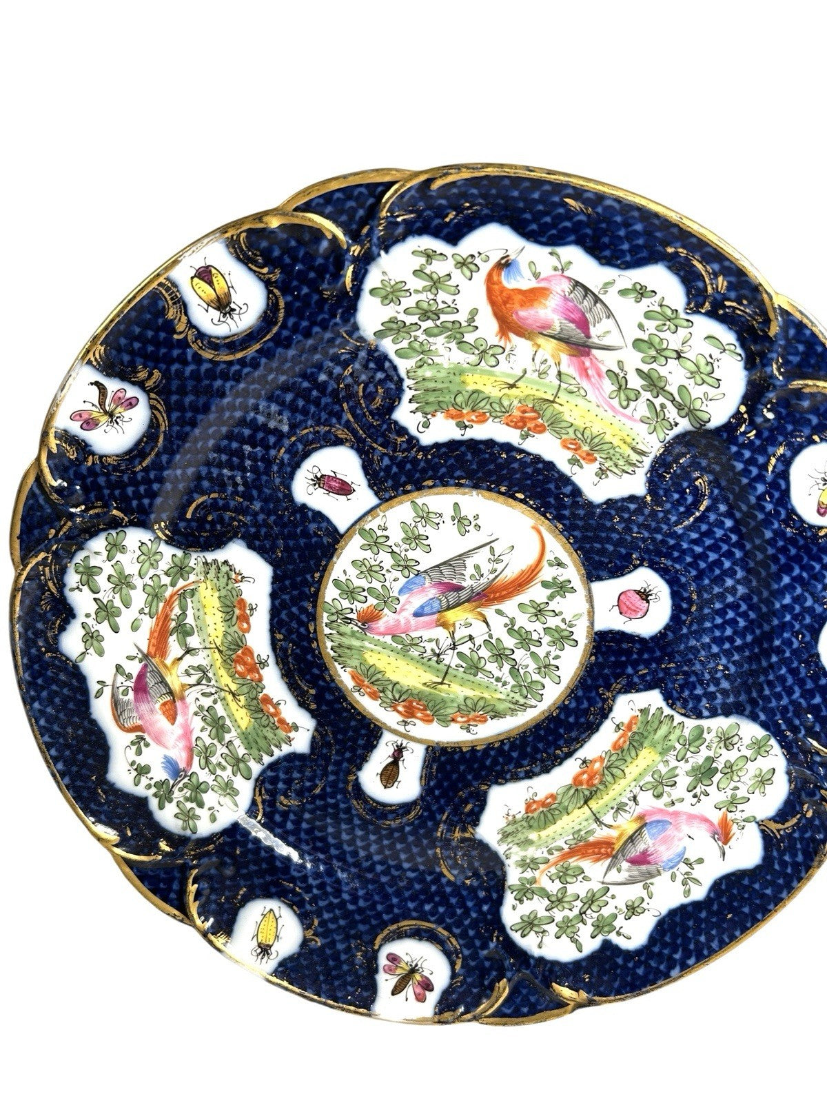 Antique Chelsea Porcelain Cabinet Plate with Exotic Birds and Insects