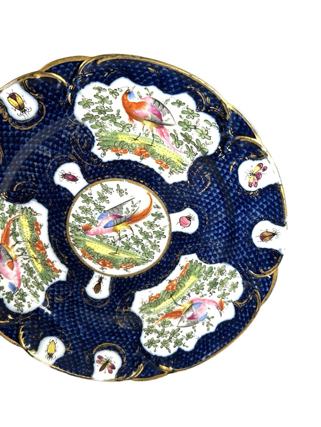 Antique Chelsea Porcelain Cabinet Plate with Exotic Birds and Insects