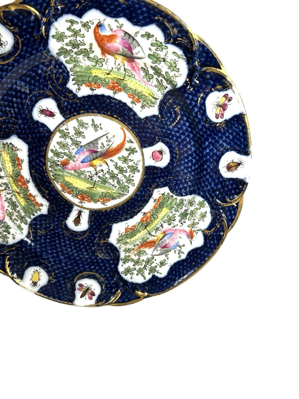 Antique Chelsea Porcelain Cabinet Plate with Exotic Birds and Insects
