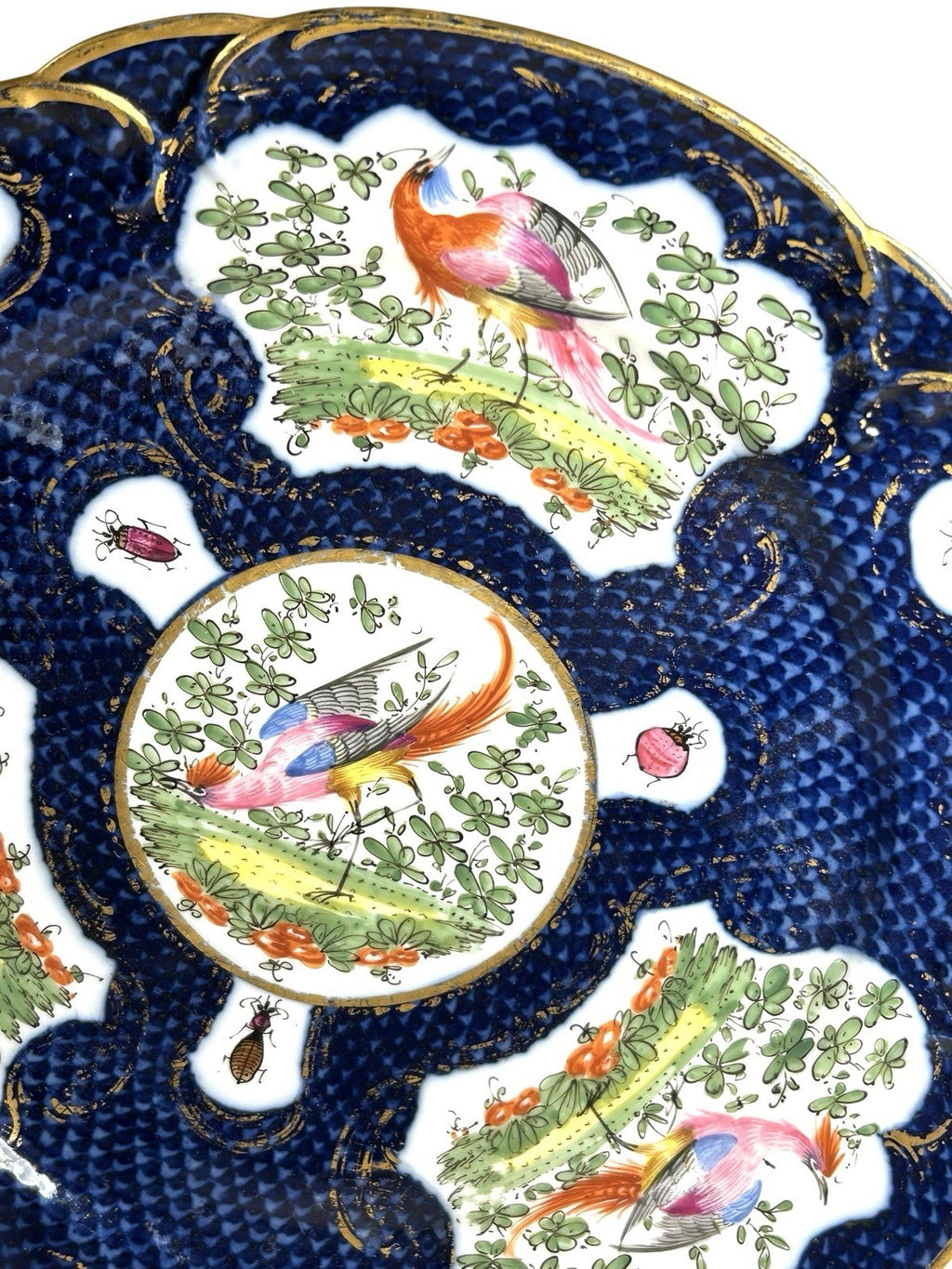 Antique Chelsea Porcelain Cabinet Plate with Exotic Birds and Insects