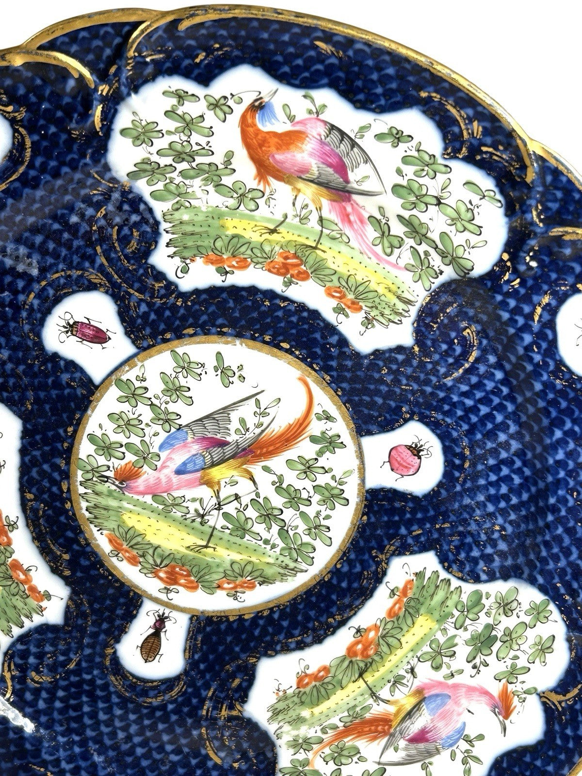 Antique Chelsea Porcelain Cabinet Plate with Exotic Birds and Insects