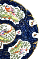 Antique Chelsea Porcelain Cabinet Plate with Exotic Birds and Insects